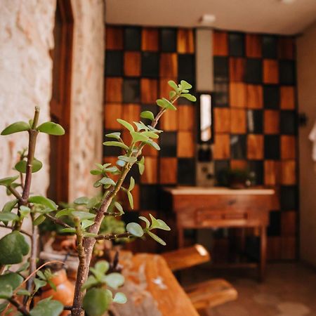 Hotel Casa 88 Альенде Экстерьер фото