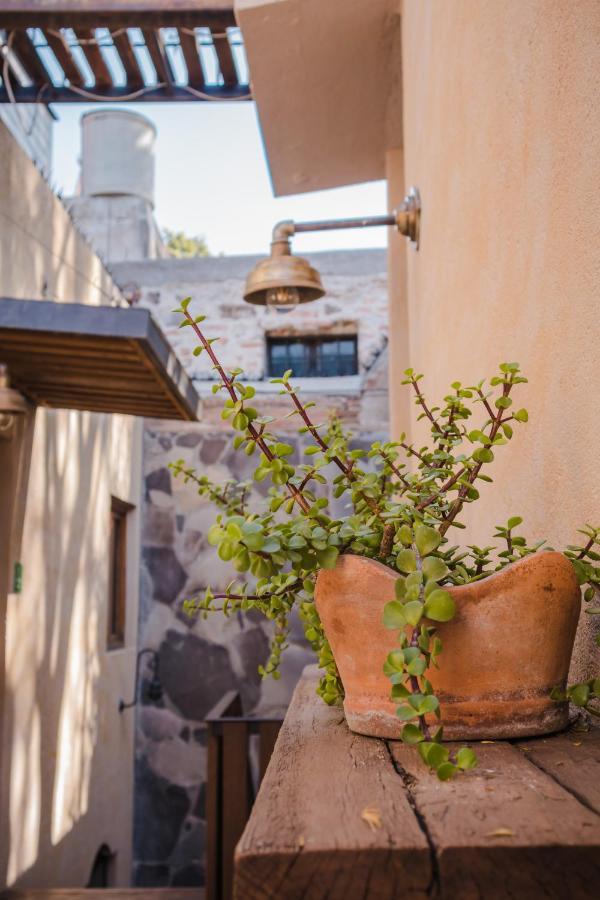 Hotel Casa 88 Альенде Экстерьер фото